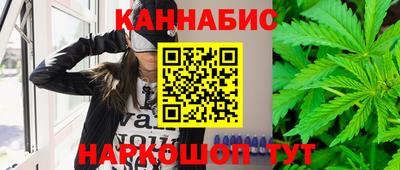 гашик Аргун