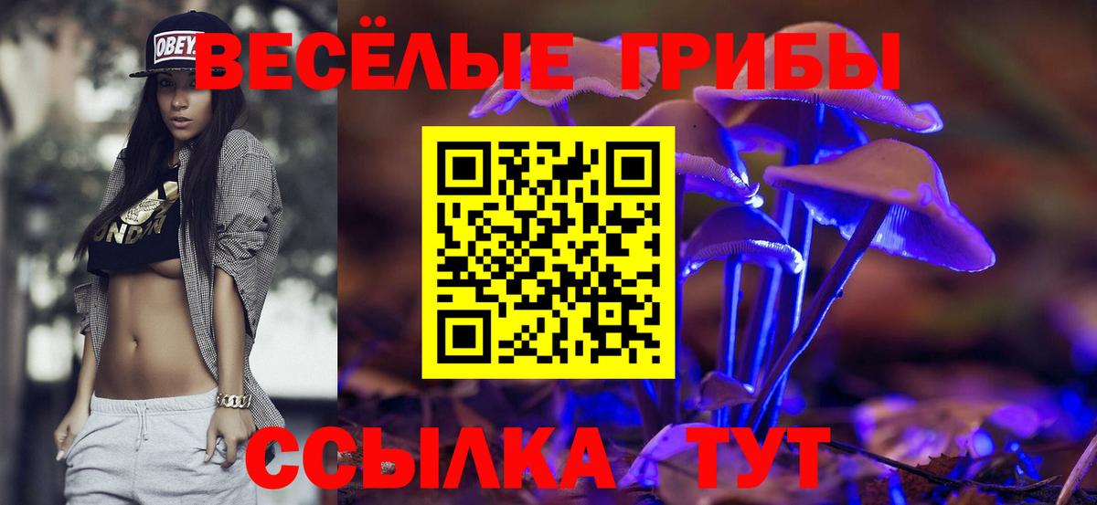 Аргун  Галлюциногенные грибы GOLDEN TEACHER  Вход с VPN 